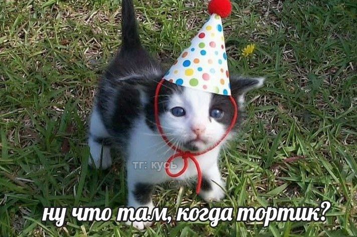 photo.jpg